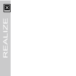 REALIZE
